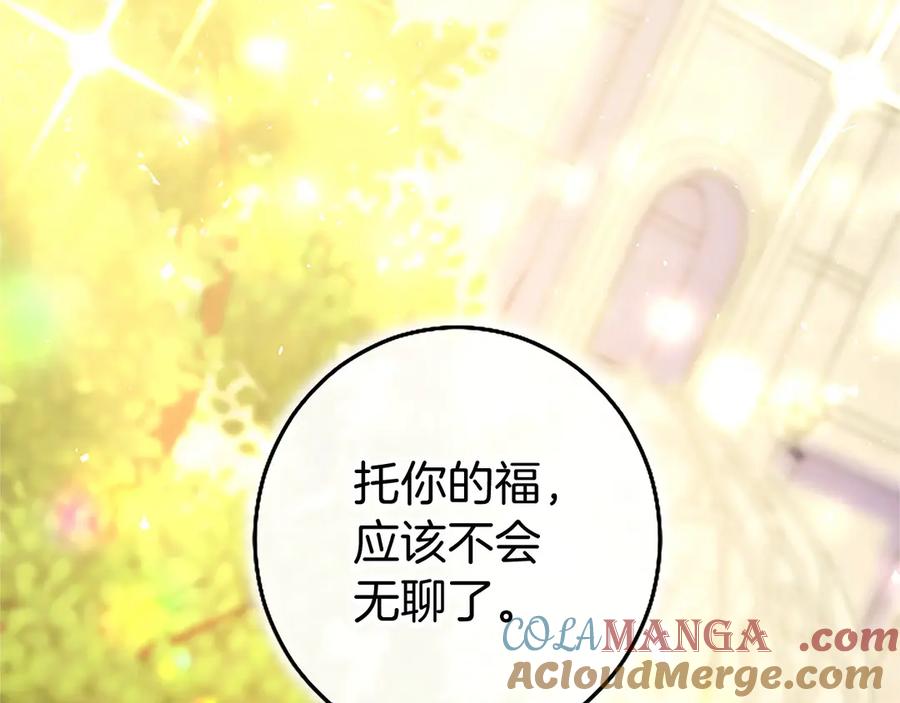 第241页