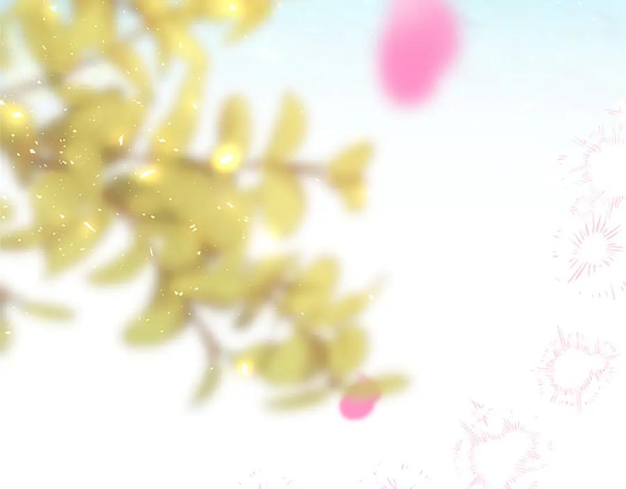 第224页