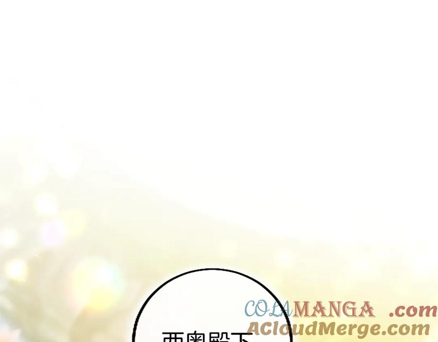 第229页