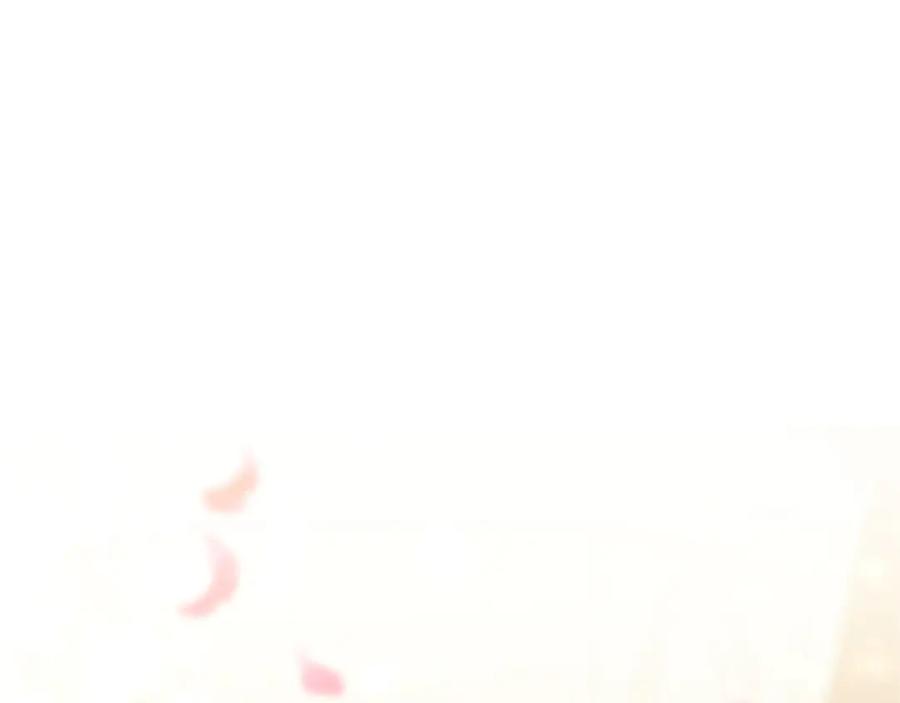 第260页