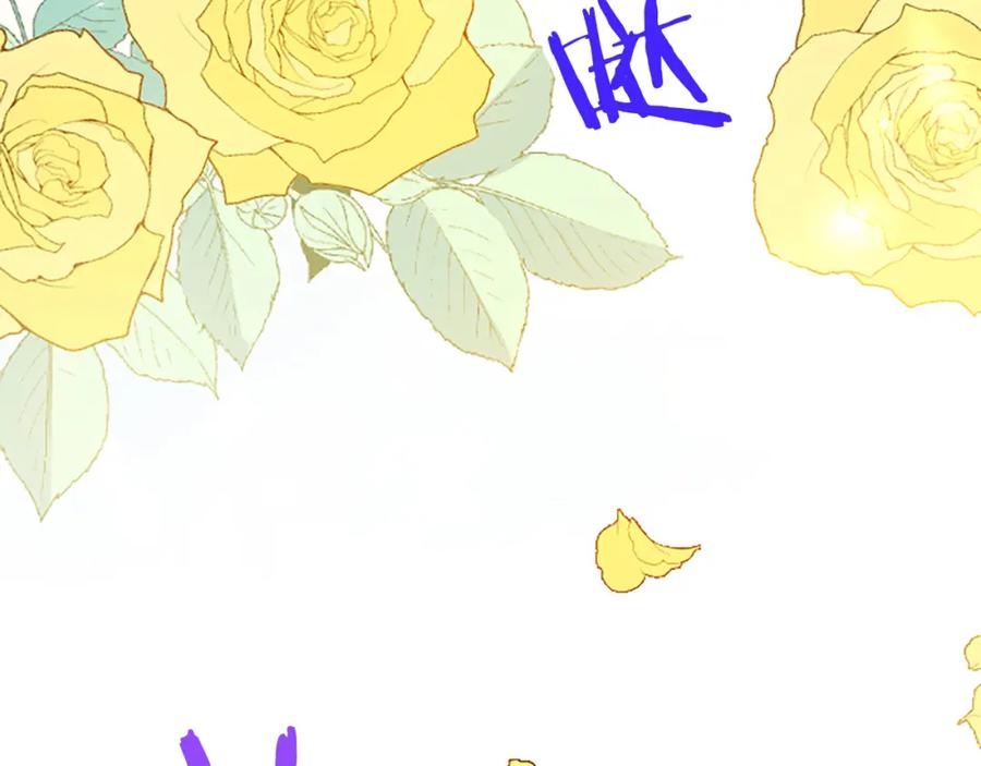第256页