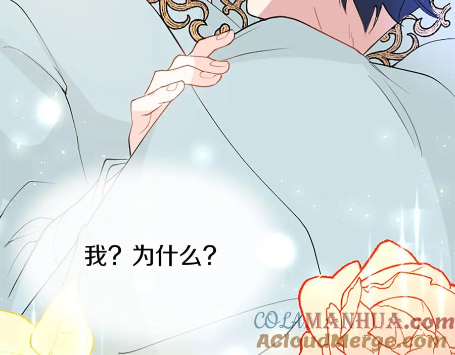 第205页