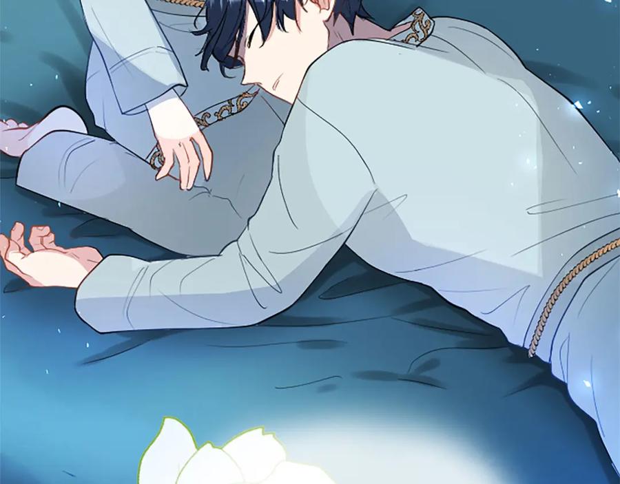 第215页