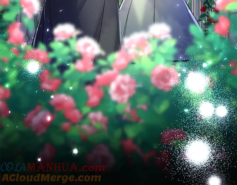 第237页