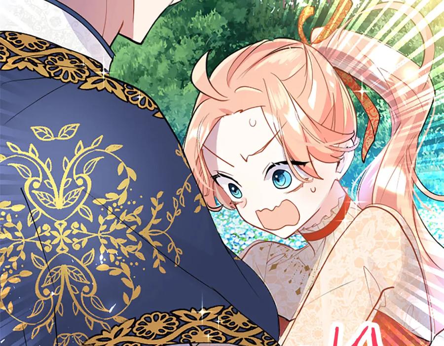 第216页