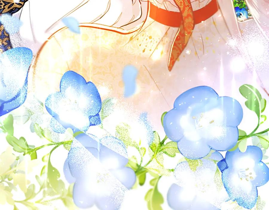 第244页
