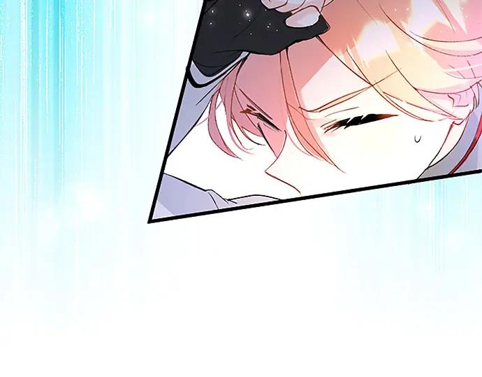 第231页