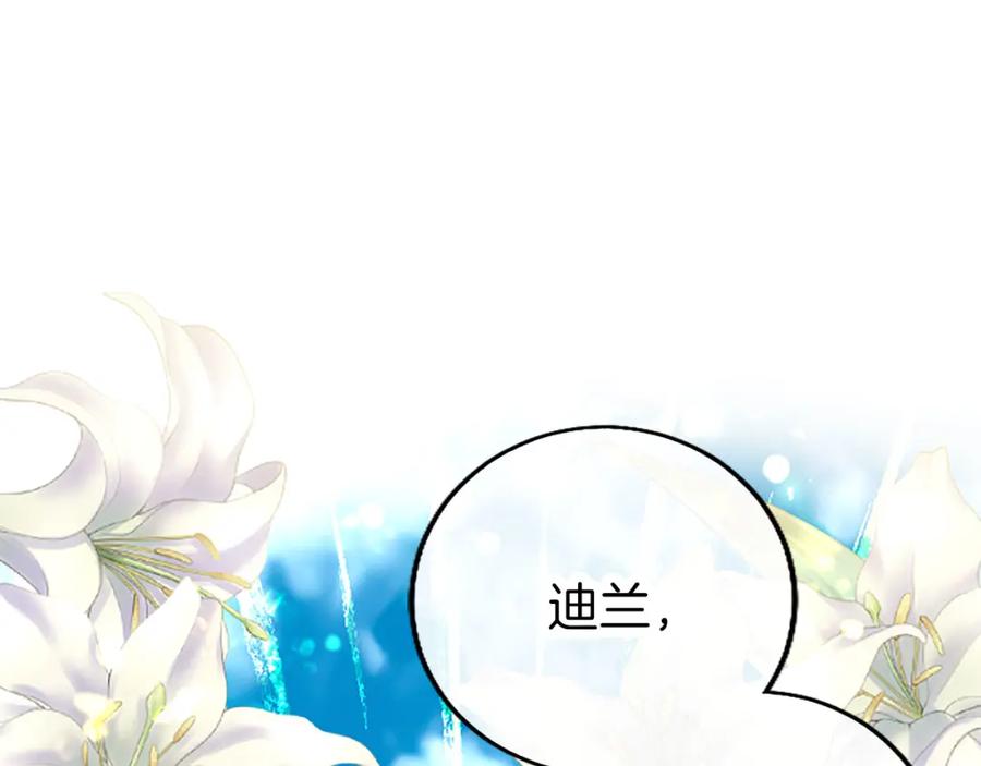 第246页