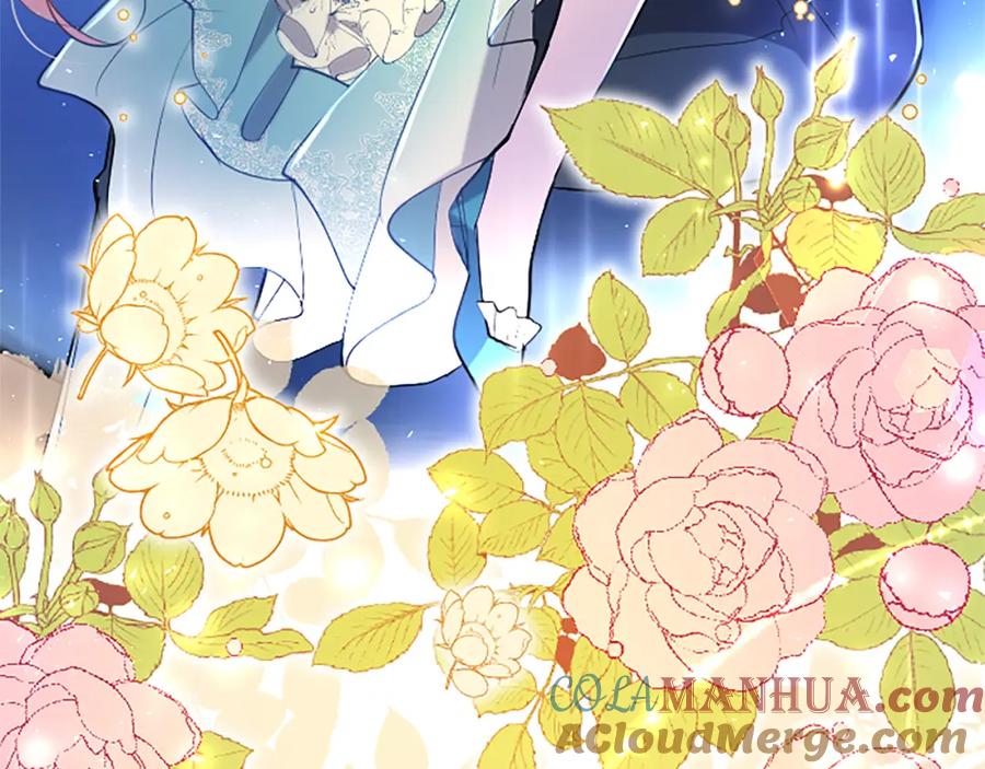 第217页