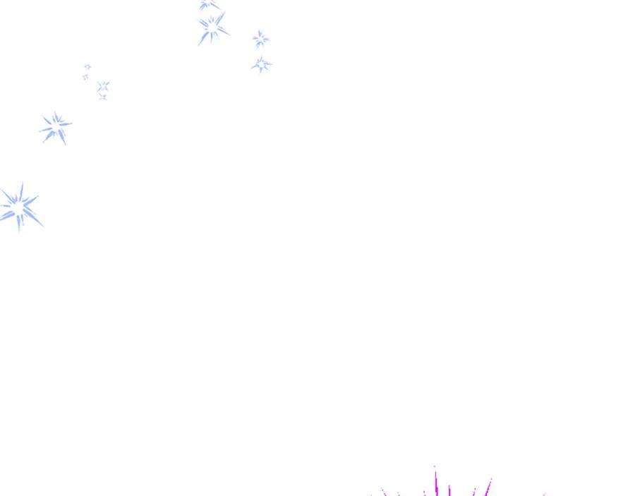 第224页