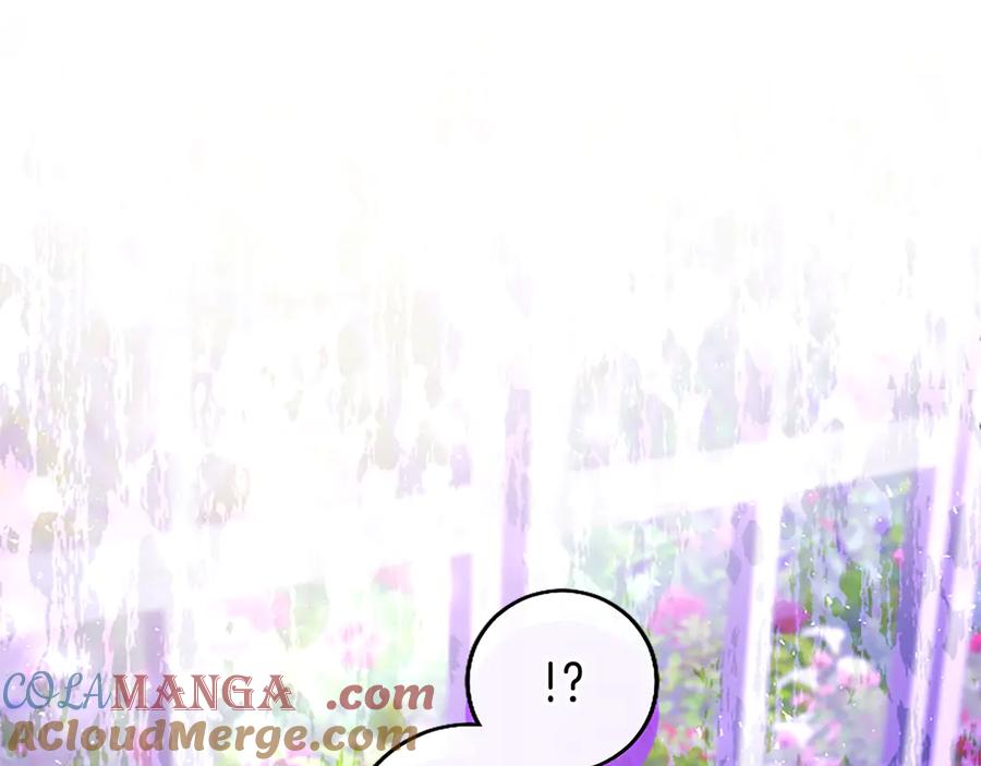第249页
