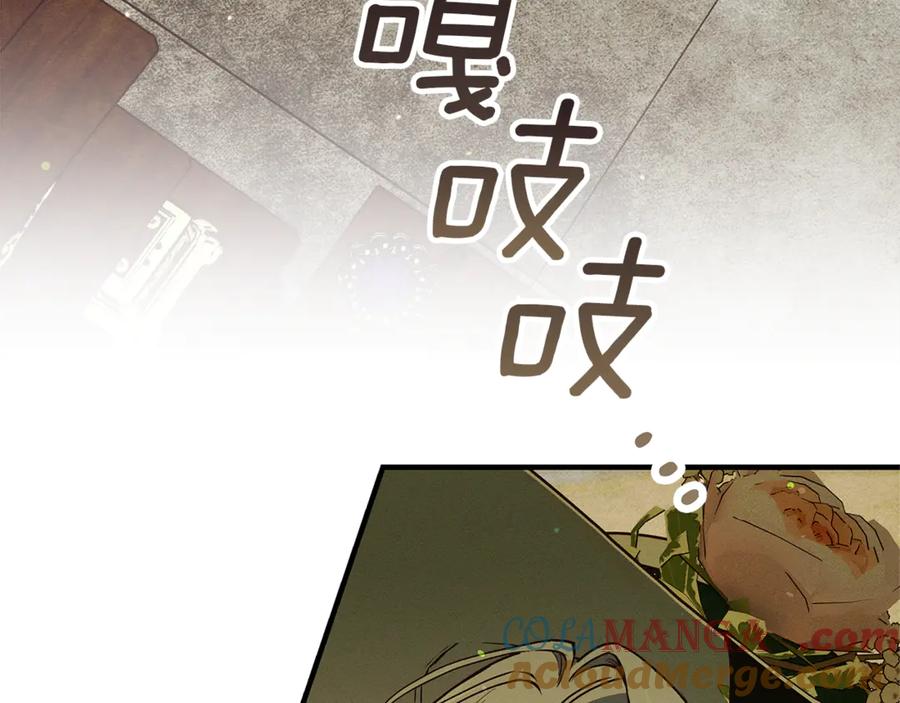 第225页