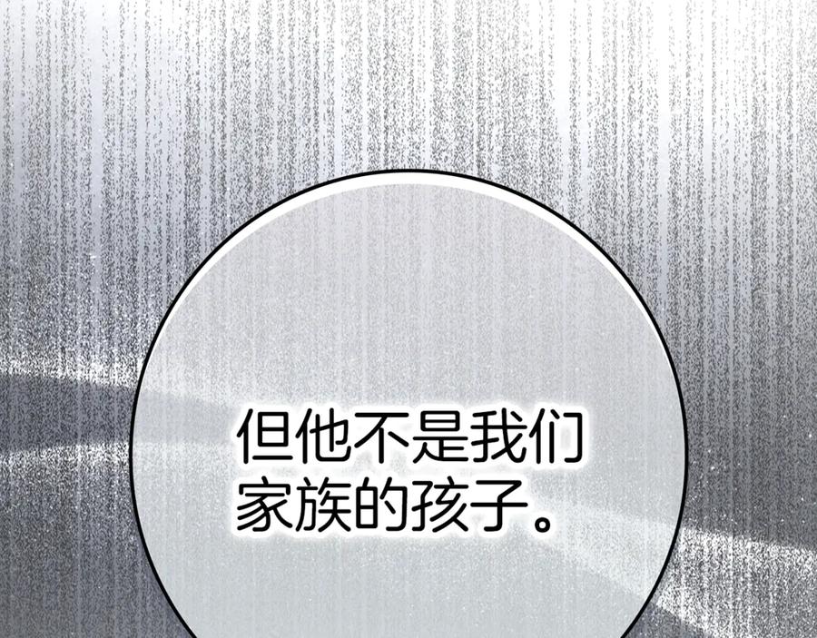 第244页