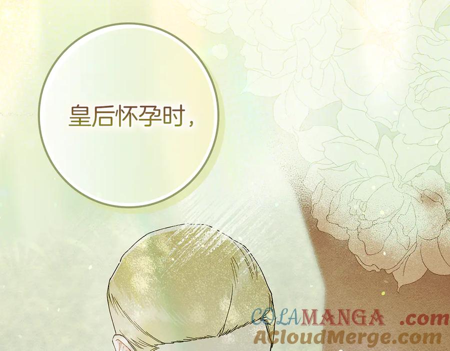 第249页