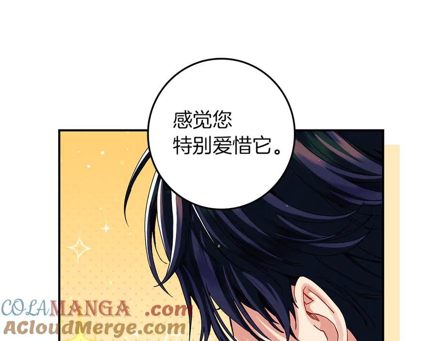 第217页