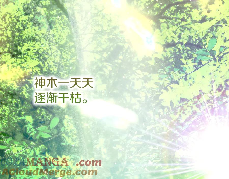 第205页