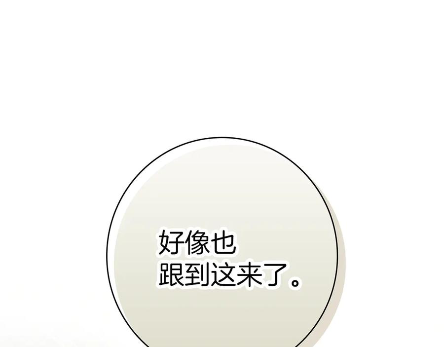 第208页