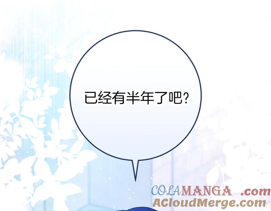 第217页