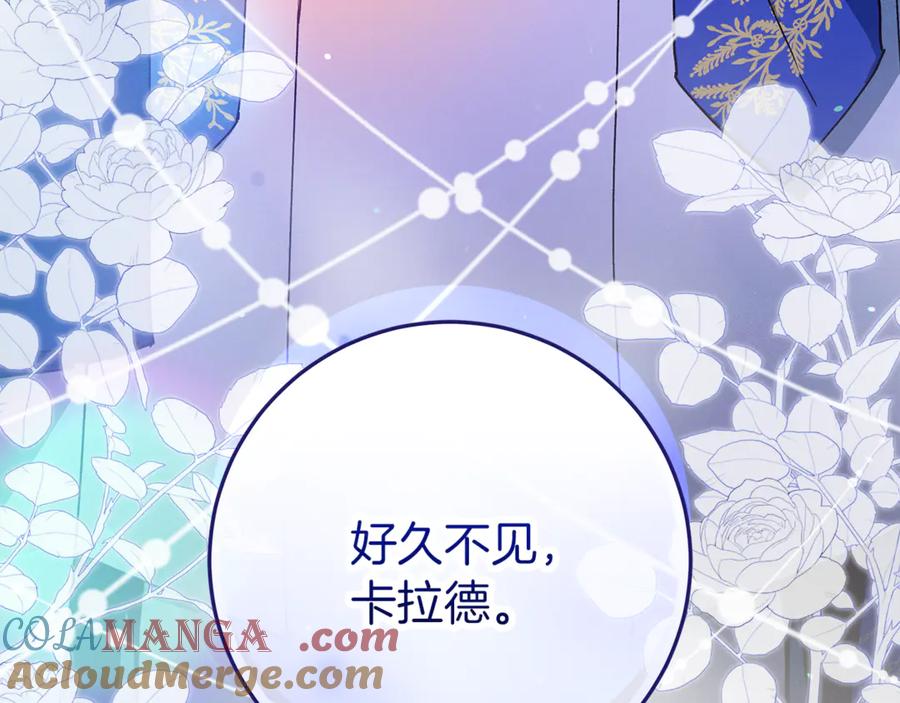 第221页