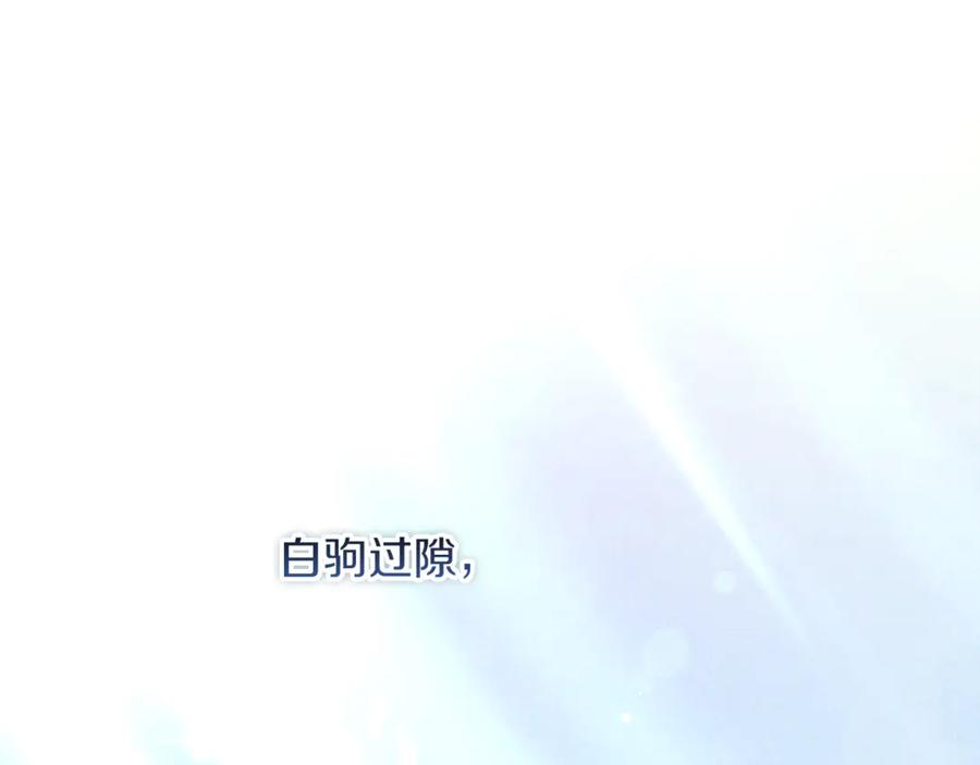 第223页
