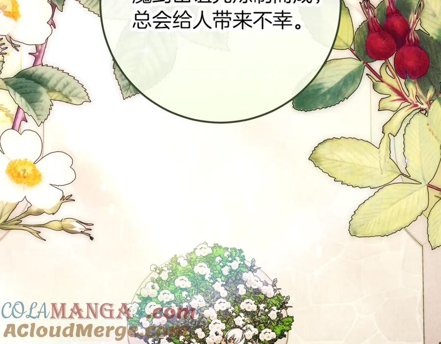 第221页