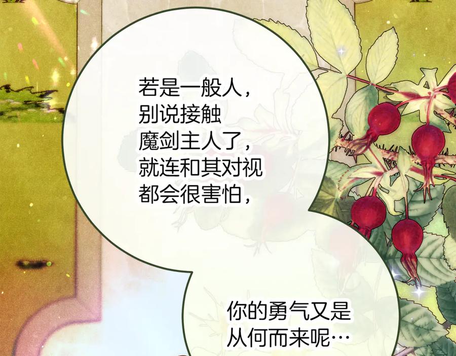 第223页