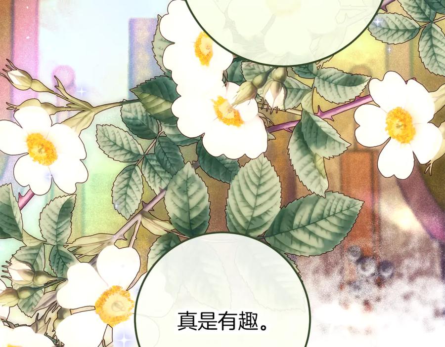第224页