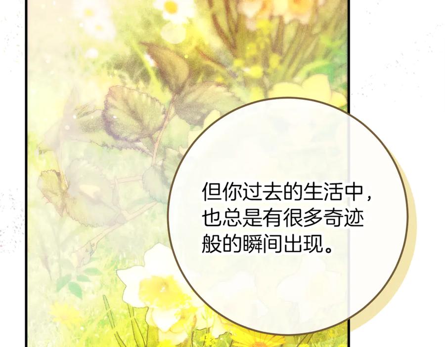 第244页