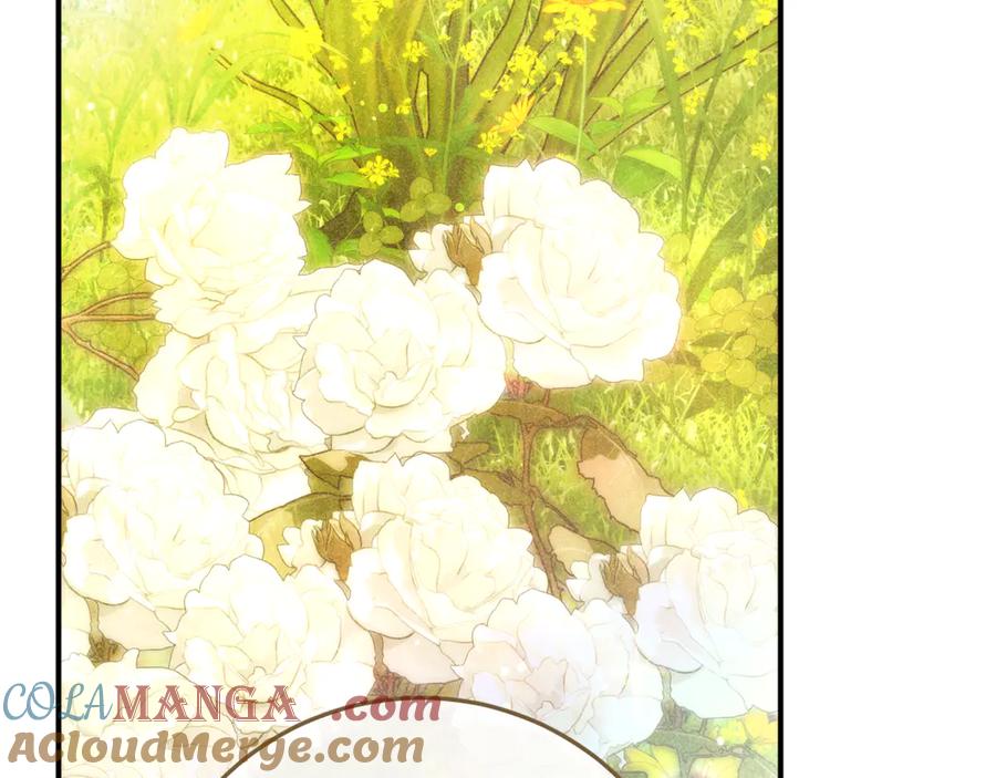 第245页