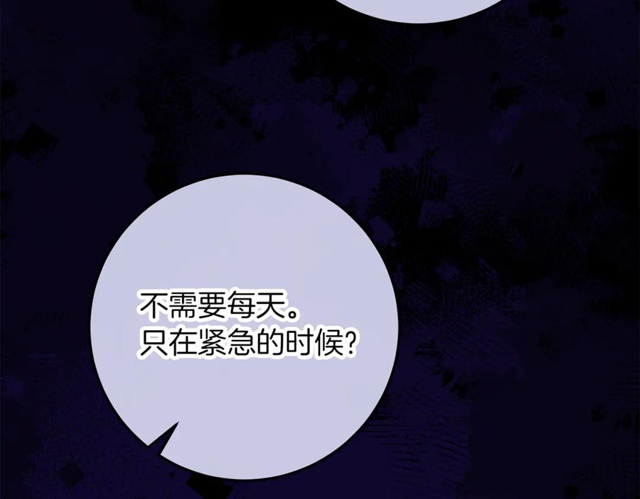 第234页