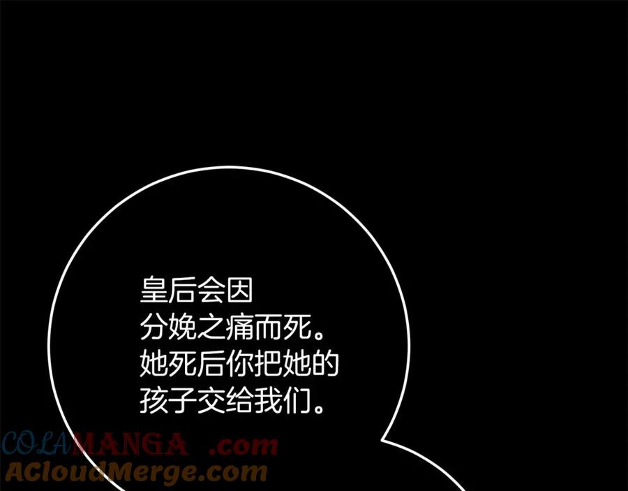 第221页