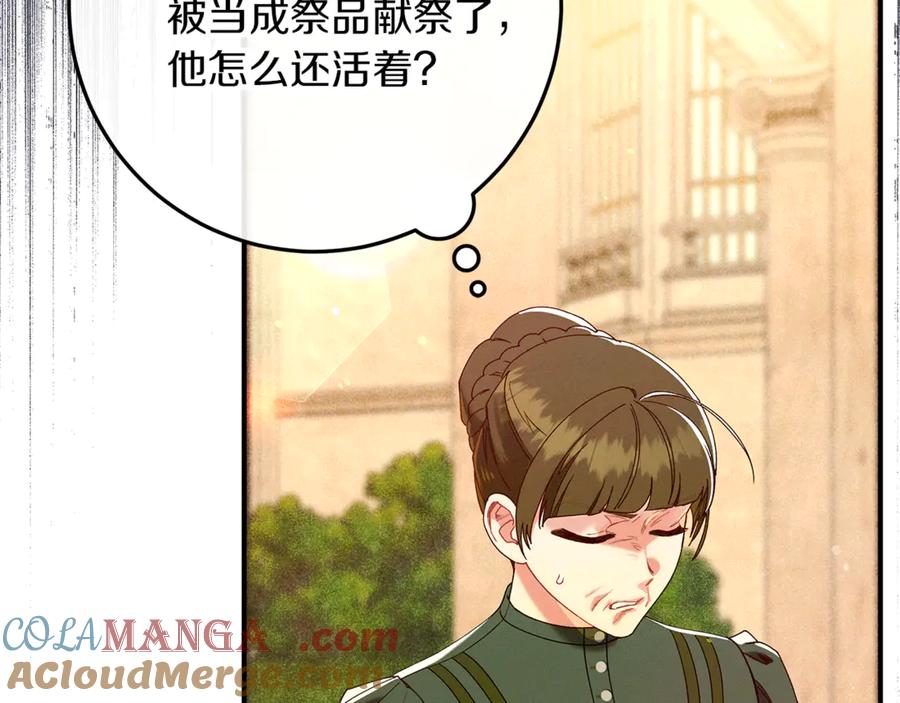 第229页