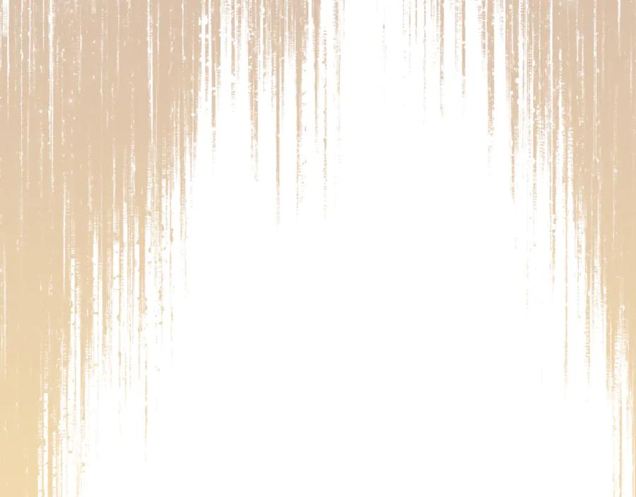 第238页