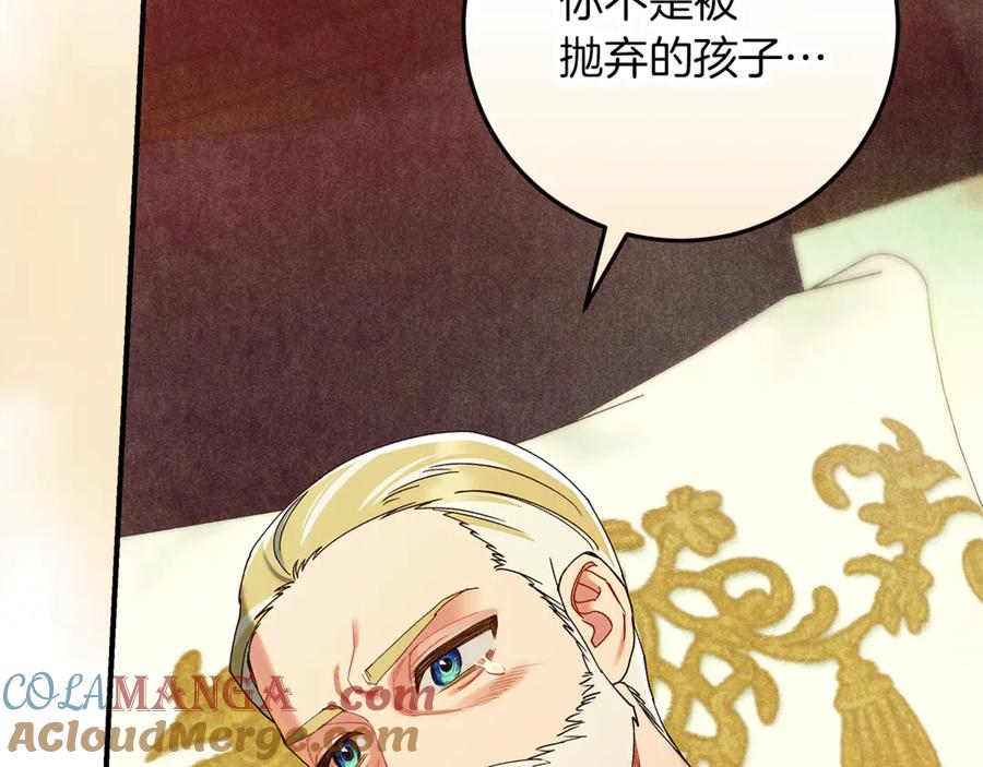 第217页
