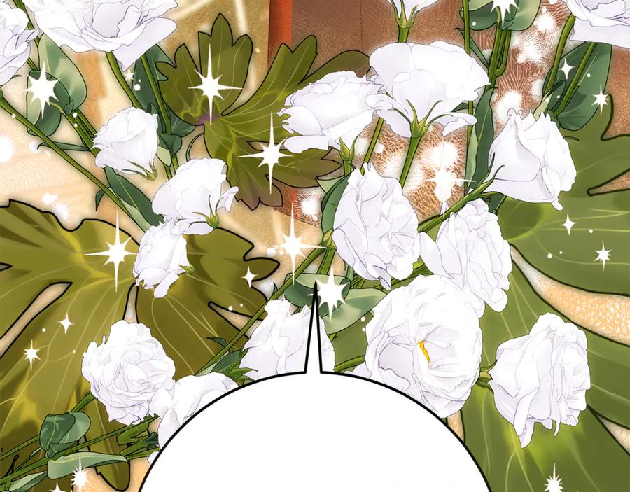第224页