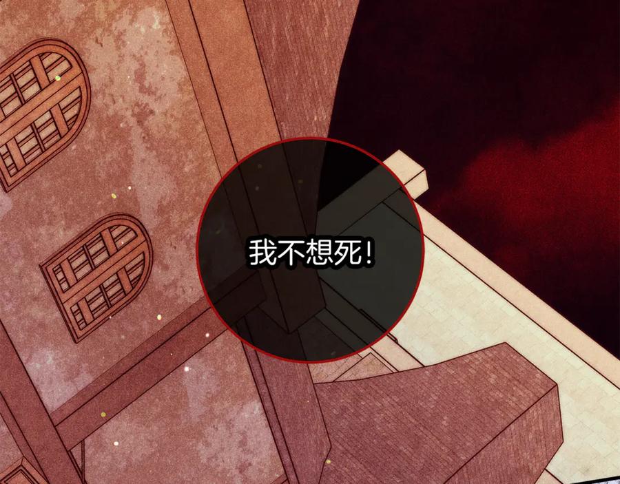 第223页