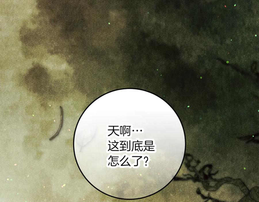 第236页