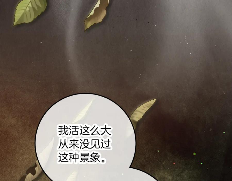 第242页