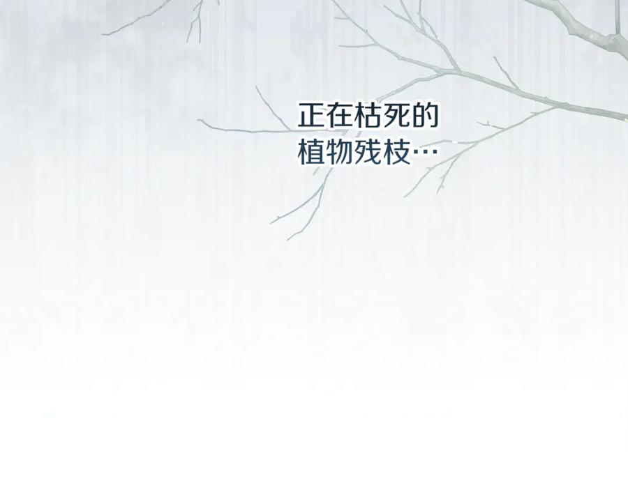 第223页