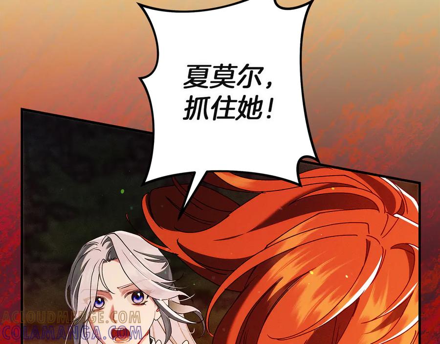第217页