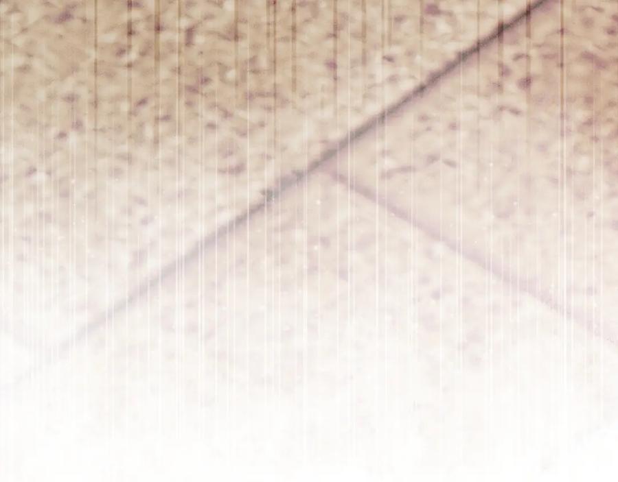 第226页
