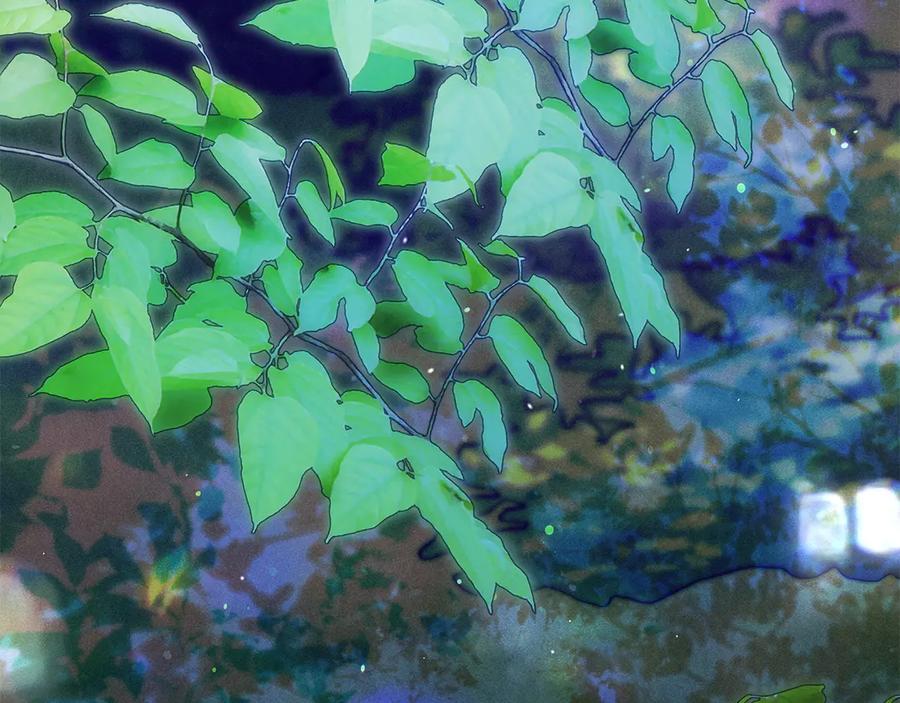 第226页