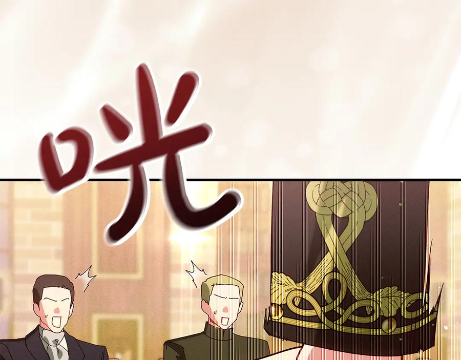 第223页
