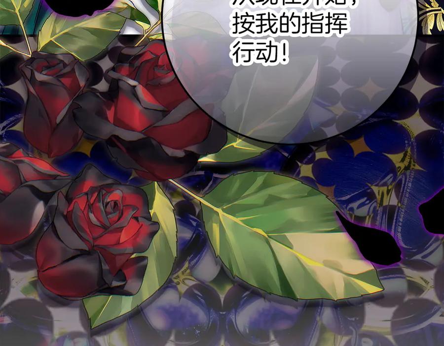 第250页
