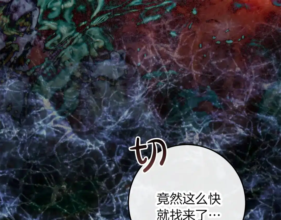 第219页