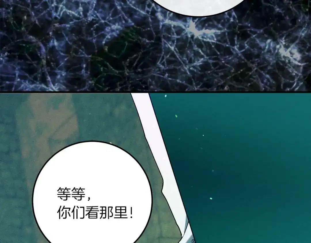 第223页