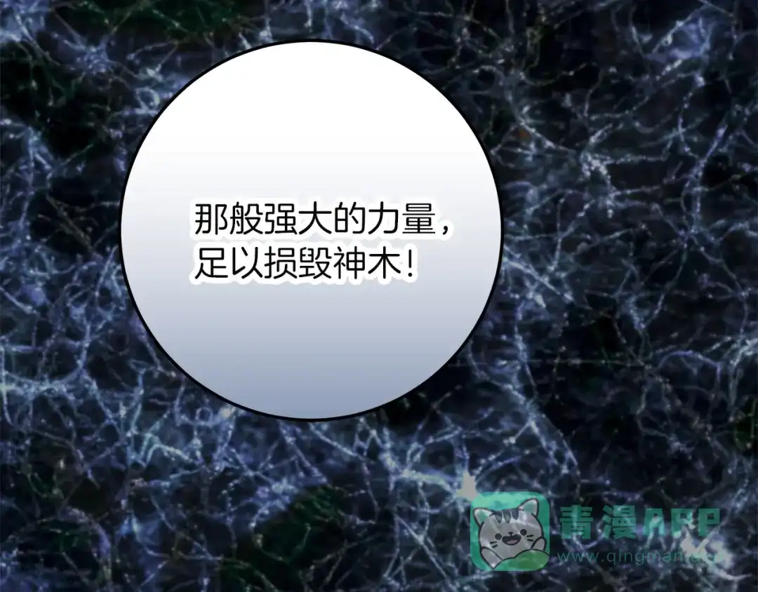 第226页