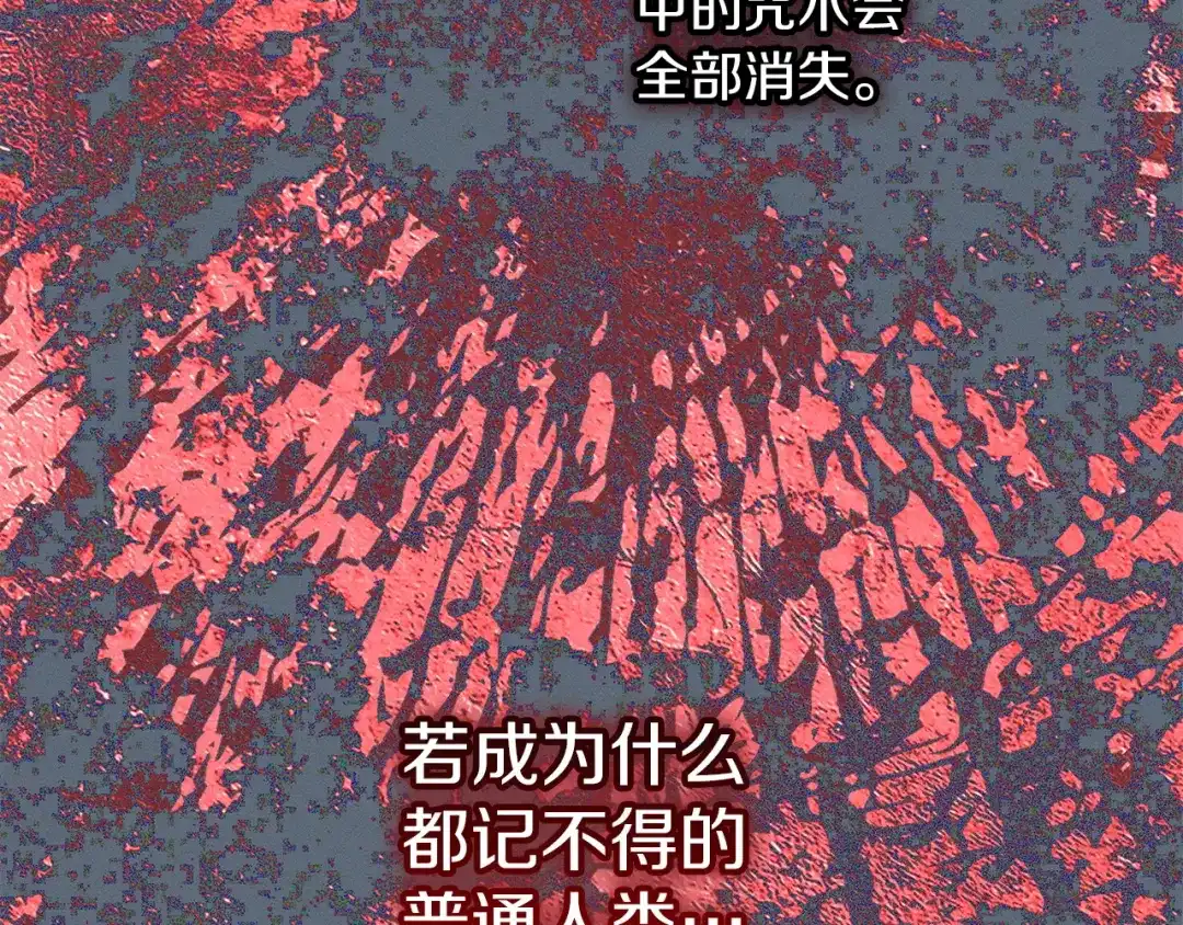 第239页