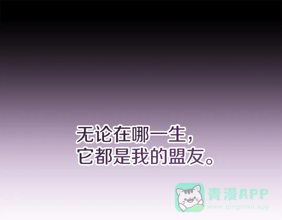 第206页