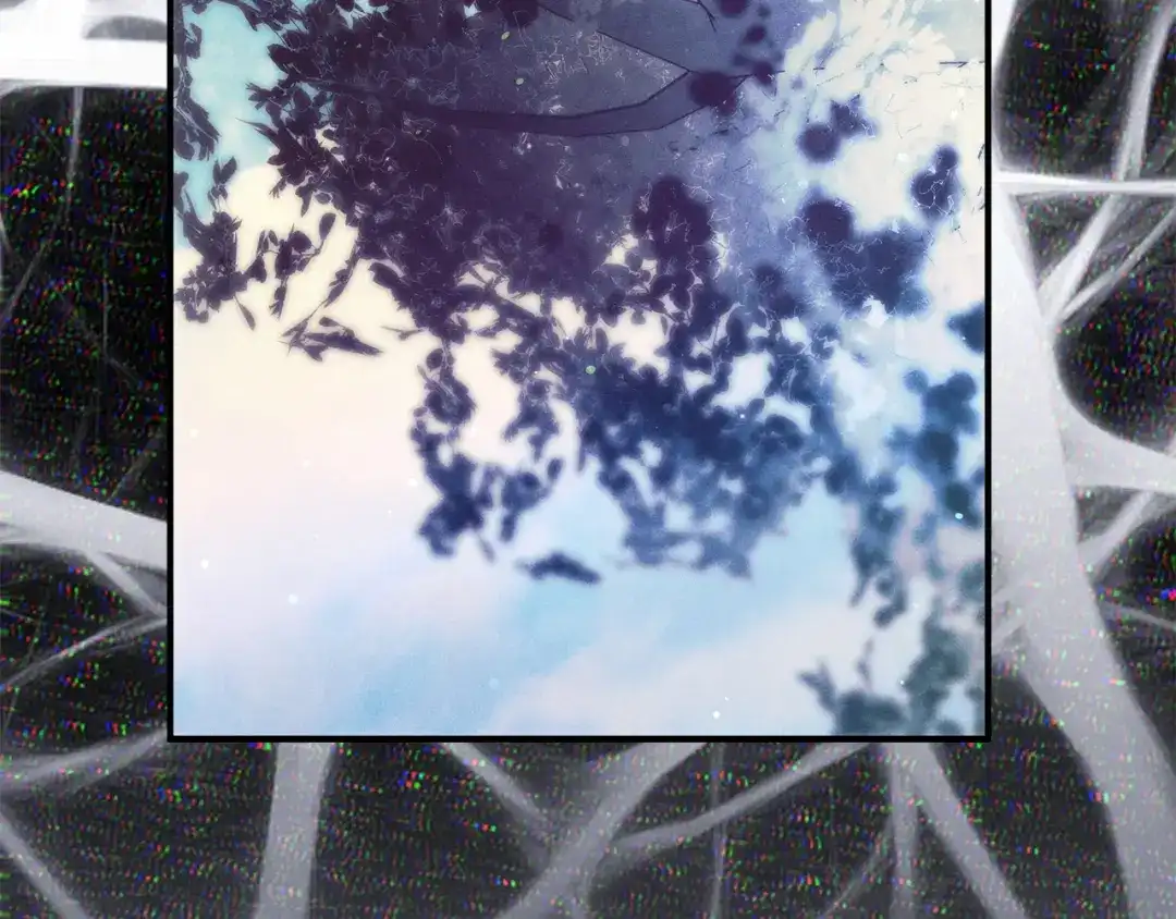 第237页